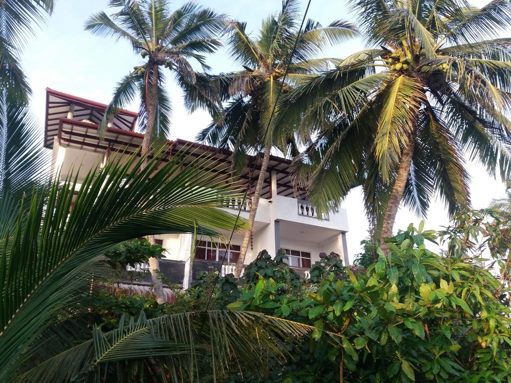Hotel Peacock Wings Guest à Mirissa Extérieur photo