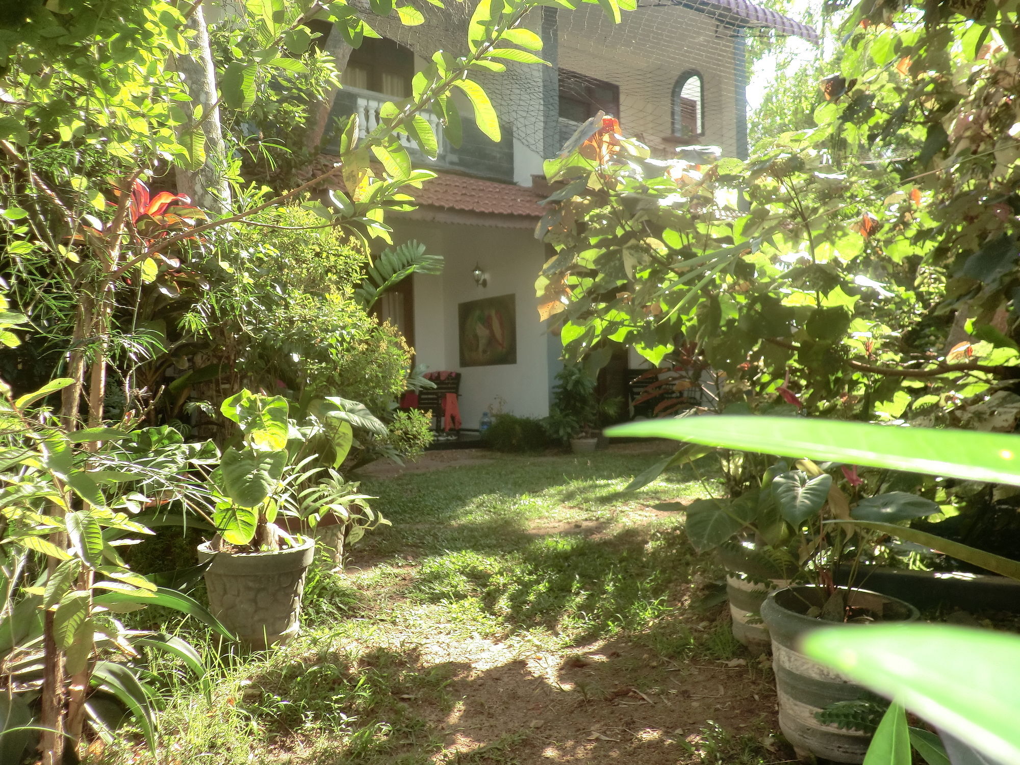 Hotel Peacock Wings Guest à Mirissa Extérieur photo