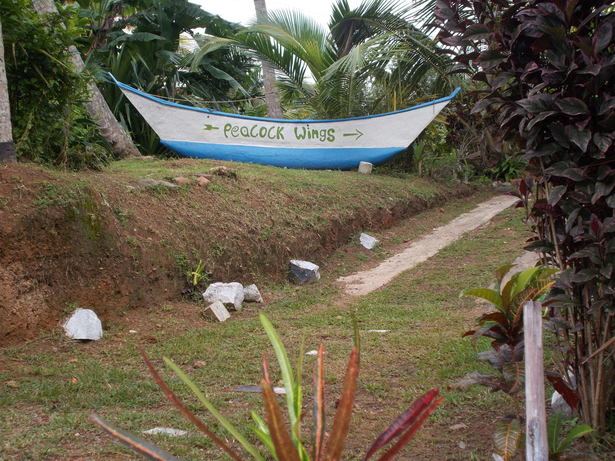 Hotel Peacock Wings Guest à Mirissa Extérieur photo